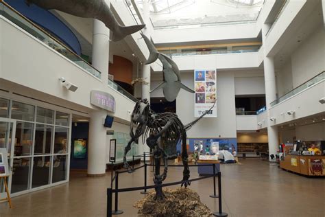 San Diego Natural History Museum, San Diego, CA - California Beaches