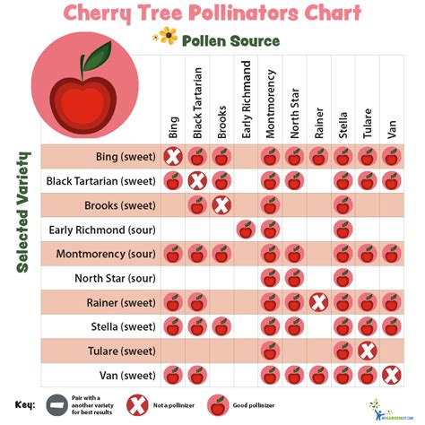 Pollination Charts for Fruit-bearing Trees and Shrubs