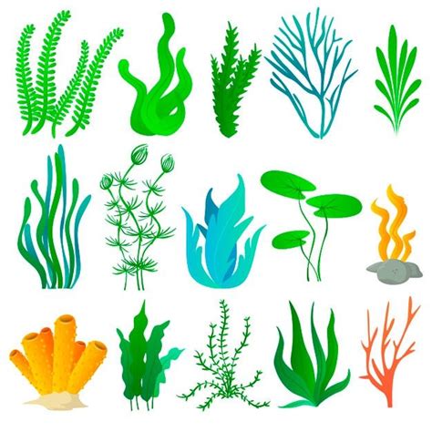 Premium Vector | Sea plants and aquarium seaweed set | Sea plants, Plant drawing, Ocean plants