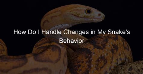 How Do I Handle Changes in My Snake’s Behavior - Family Snake