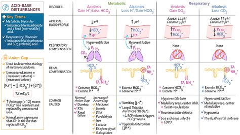 Nursing (RN): Alkalosis and Acidosis | ditki medical & biological sciences