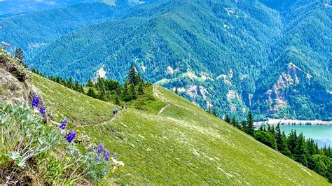 Dog Mountain - Hike Oregon