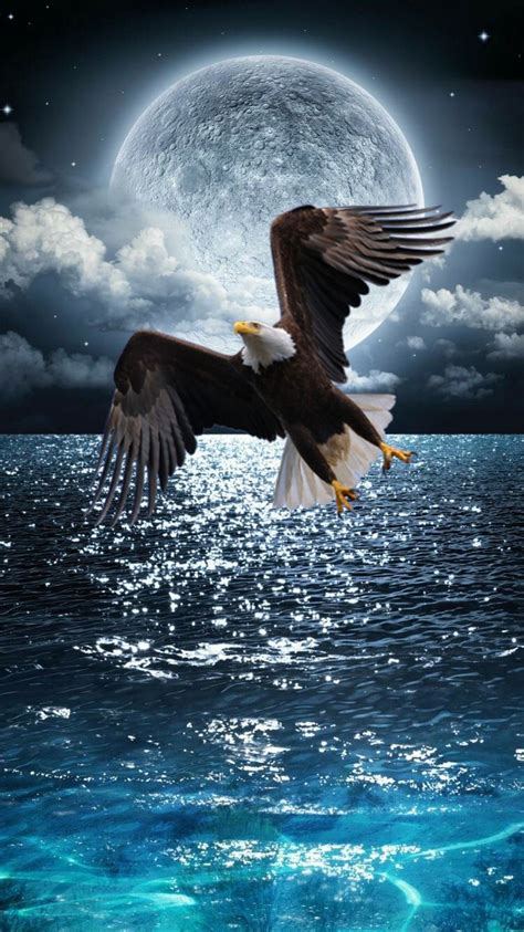 Bald Eagle Flying Wallpaper Hd