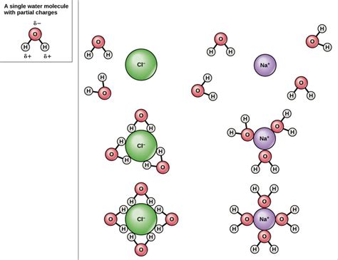 Individual Water Molecules Bind to Each Other Through