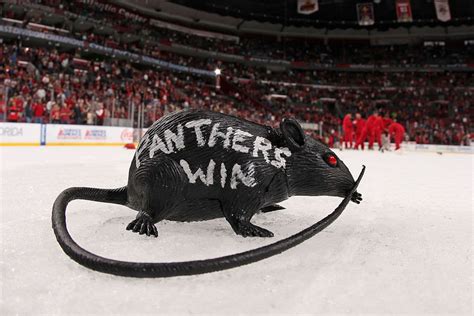 The Florida Panthers' Enduring Rat Tradition Started With a Real Rodent - Sportscasting | Pure ...