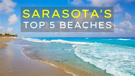 Sarasota Florida - The TOP 5 Beaches Not To Miss!!! - YouTube