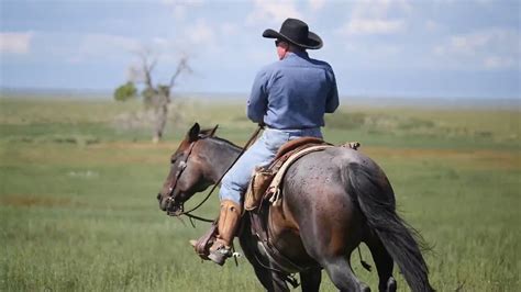 Horseback Riding 101 : Cam Schryver: a basic handle warmup for your horse - YouTube