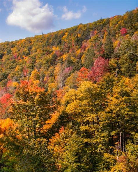 Fall in Catskill Mountains. Stock Photo - Image of hill, trees: 21224984