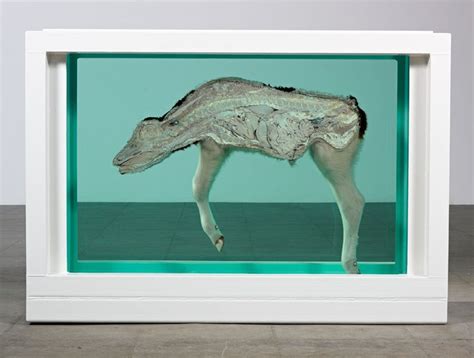 Damien Hirst | Damien hirst art, Damien hirst, Hirst