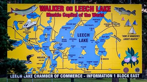 Boating on Leech Lake: A Guide to the Ultimate Water Experience