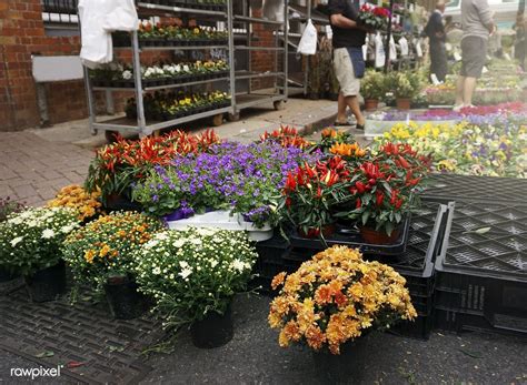 Flower Street Market