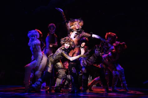 Editor's Pick: 'Cats' at The National Theatre - Metro Weekly