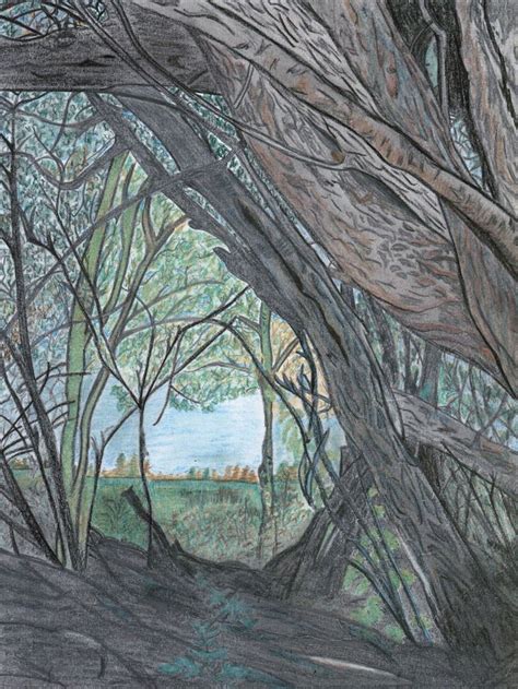 Looking through a hole in the trees. I thought I would add a little color to my pencil drawing ...