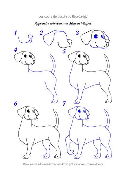 Comment dessiner un chien ? Dessin chien facile par étapes