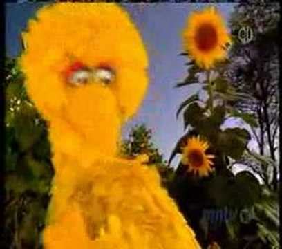 Sesame Street - Postcards from Big Bird - Farm - YouTube