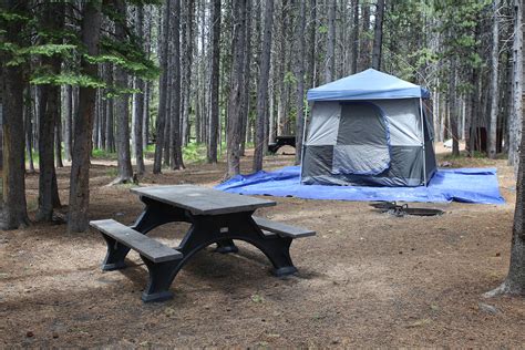 Bridge Bay Campground Yellowstone Map - Sibby Dorothee