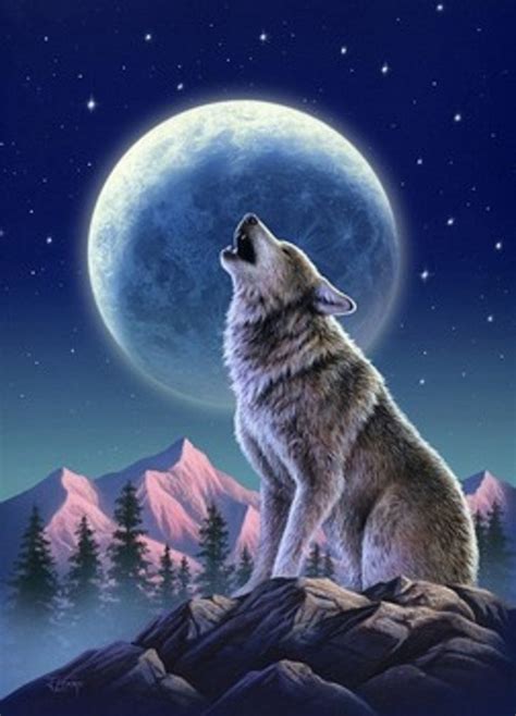 The Cold Moon of January | Wolf painting, Wolf images, Wolf pictures