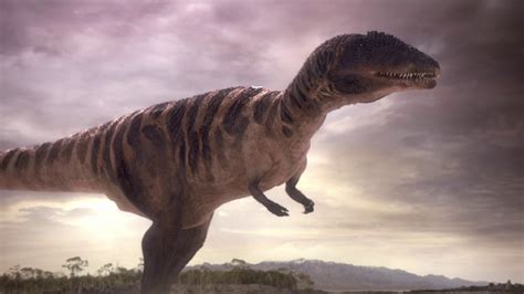 Carcharodontosaurus Pictures & Facts - The Dinosaur Database