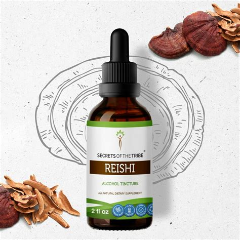 Reishi Tincture Alcohol Extract, Organic Reishi Mushroom Ganoderma Lucidum Immune System Health ...