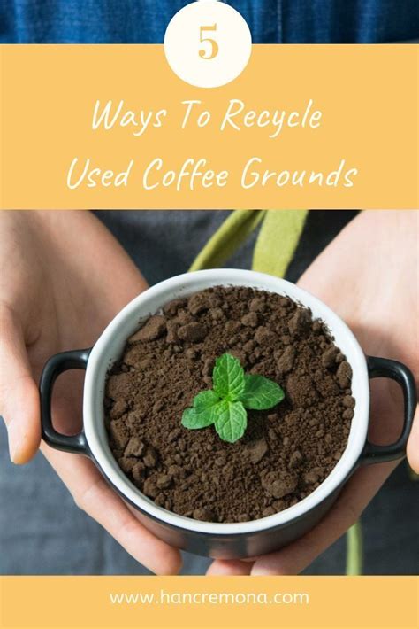 Ways to recycle used coffee grounds | Uses for coffee grounds, Coffee grounds, Ways to recycle