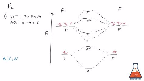 [DIAGRAM] Telophase 2 Diagram - MYDIAGRAM.ONLINE