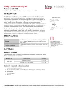 Luciferase Assay Protocol