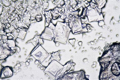 Free Stock Photo of Salt under the Microscope | Download Free Images ...