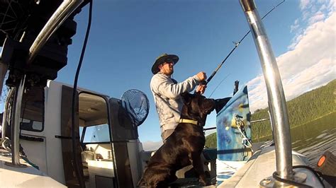 Quesnel lake BC Canada, trolling for lake trout - YouTube