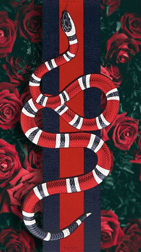 Guccirosesnake, florfl, gucci, serpiente, Fondo de pantalla de teléfono HD | Peakpx