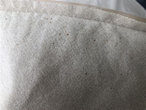 Are these bed bug fecal stains? : r/Bedbugs