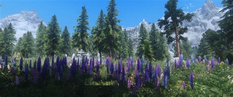 Skyrim Flora Overhaul at Skyrim Nexus - mods and community | Skyrim ...