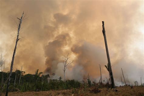 The Amazon Burns Down - Fires threaten Earth's Largest Rainforest ...