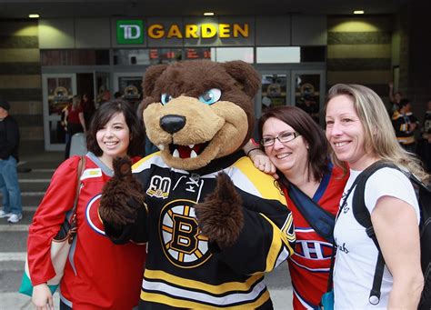 18+ Boston Bruins Mascot Pictures