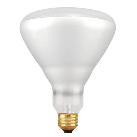 SYLVANIA 65-Watt Dimmable Warm White Br40 Halogen Flood Light Bulb at Lowes.com