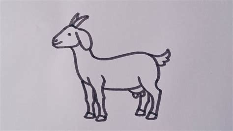 How to draw a Goat 🐐||Easy drawing step by step. - YouTube