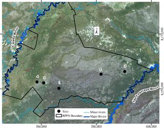 Origin of mounds in the Pantanal wetlands: An integrated approach between geomorphology ...