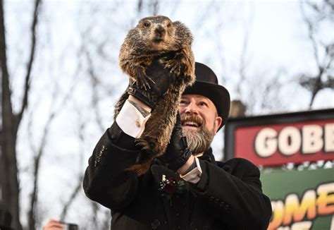 VIDEO SUA: Marmota Phil a prezis că iarna va dura încă şase săptămâni ...