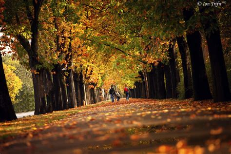 Autumn walk by John77 on DeviantArt