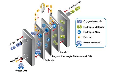 The 8 Gw Fuel Cell And Electrolyzer Factory at Jeanne Jimmy blog