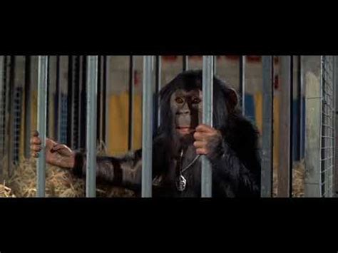 Full Movie Escape From The Planet Of The Apes - visitationwrites