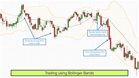 Forex Robots: The Practical Use of Automated Trading Software - Forex Robot Expert