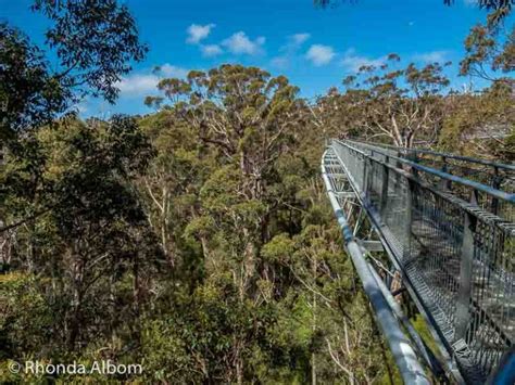 11 Things to Do in Albany WA: Nature's Beauty & Hidden Gems