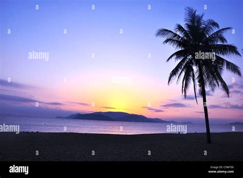 Landscape on beach at sunrise Stock Photo - Alamy