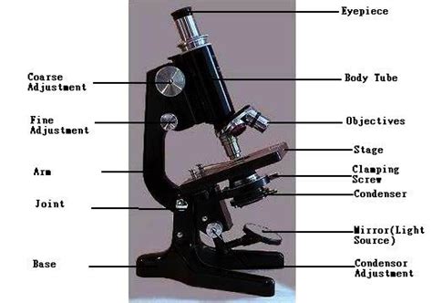 Compound Microscope- Introduction Compounds, Microscope, Mirror With ...