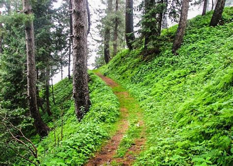 Nathia Gali to Miranjani Hiking Track, KPK, Pakistan| Croozi