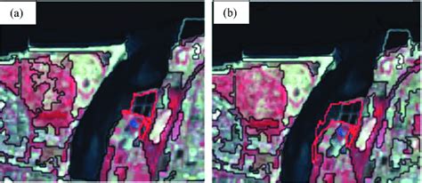 Differences detail of multiscale segmentation when applied with(a) or... | Download Scientific ...