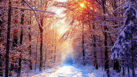 November Snow Wallpapers - Top Free November Snow Backgrounds ...