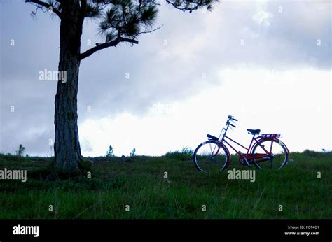 red vintage bicycle Stock Photo - Alamy