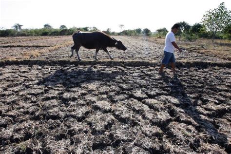 3 more Iloilo towns reel from El Niño damage