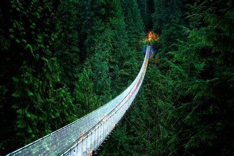 Capilano Suspension Bridge | The Traveller